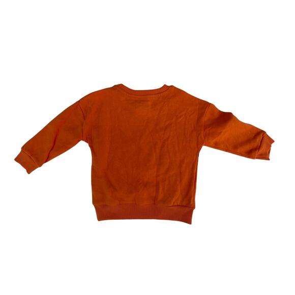 DISNEY, SIZE 2T, HALLOWEEN SWEATSHIRT, ORANGE - Picture 2 of 3